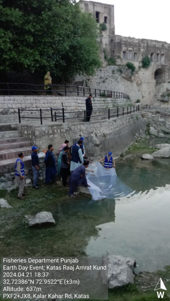 Fish Seed Restocking of Amrat Kund