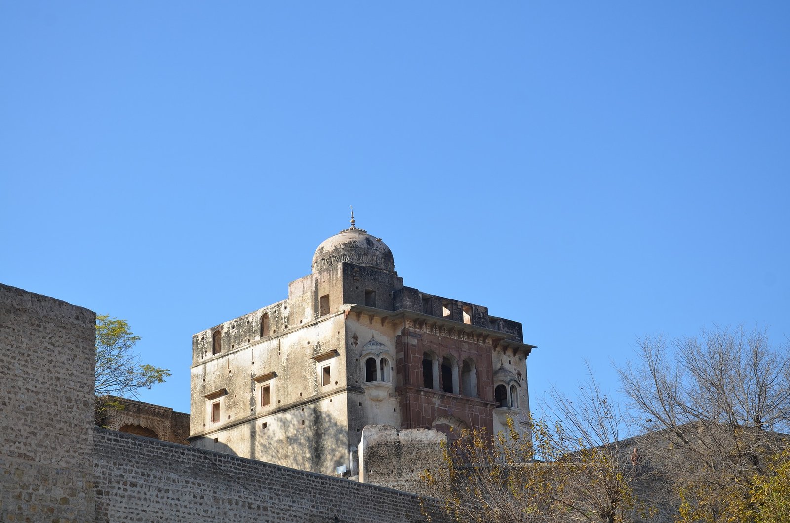 Towards Sacred Conservation: Restoring Fish Diversity in Amrat Kund at Katas Raj Temple on World Earth Day 2024