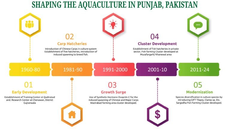 Infographic depicting the five phases of aquaculture development in Punjab, Pakistan, from early beginnings to modern advancements