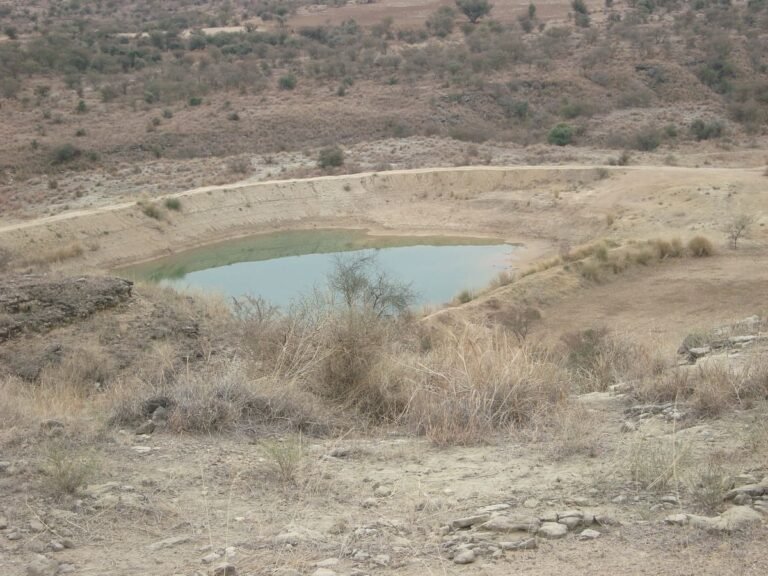 Traditional backyard pond in Punjab, Pakistan, used for fish farming