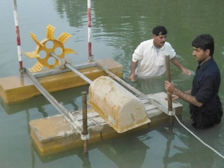 Advanced medium-scale fish farm in Punjab with aerators in operation