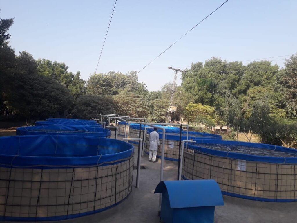 Biofloc fish culture facility in South Punjab