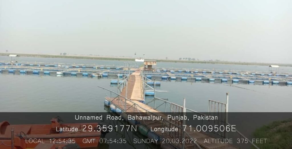 Cage culture site at Trimu Headworks in Punjab with modern fish farming techniques