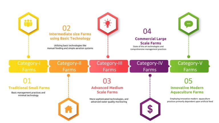 Infographic displaying five categories of fish farms in Punjab aimed at enhancing aquaculture policy planning