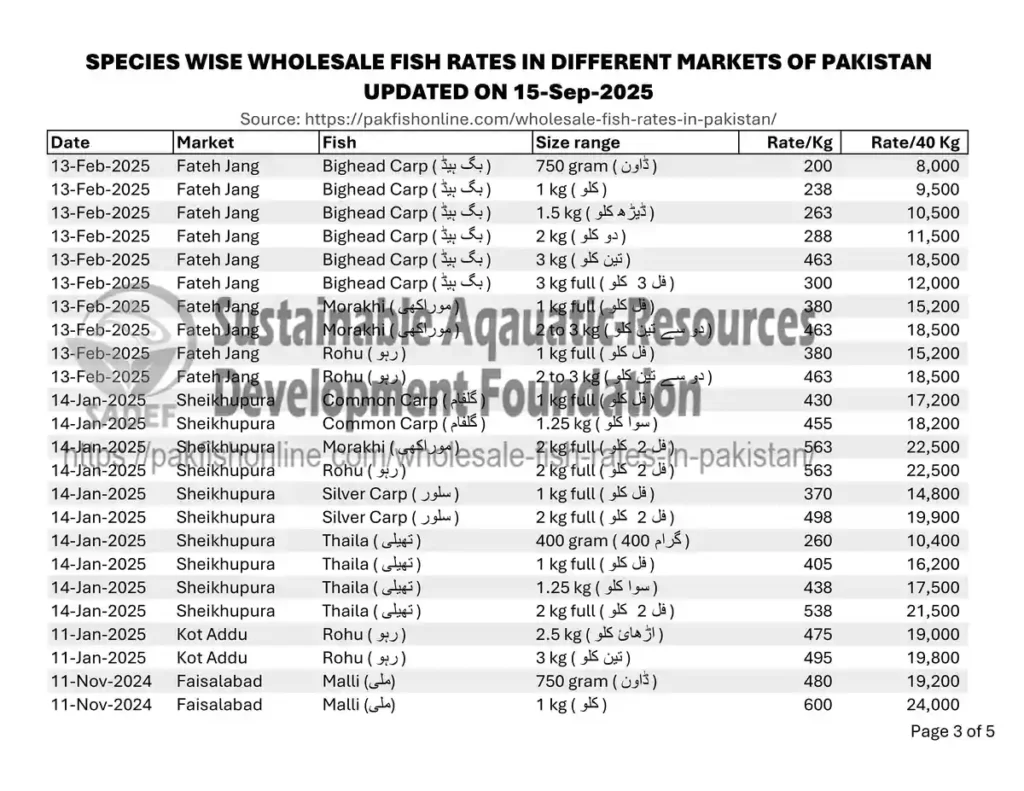 2025-09-15 wholesale fish market rates pakistan-3