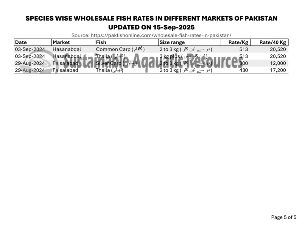 2025-09-15 wholesale fish market rates pakistan-5